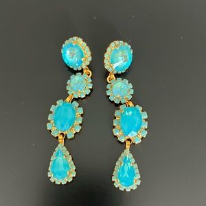 Elizabeth Cole Earrings NWOT